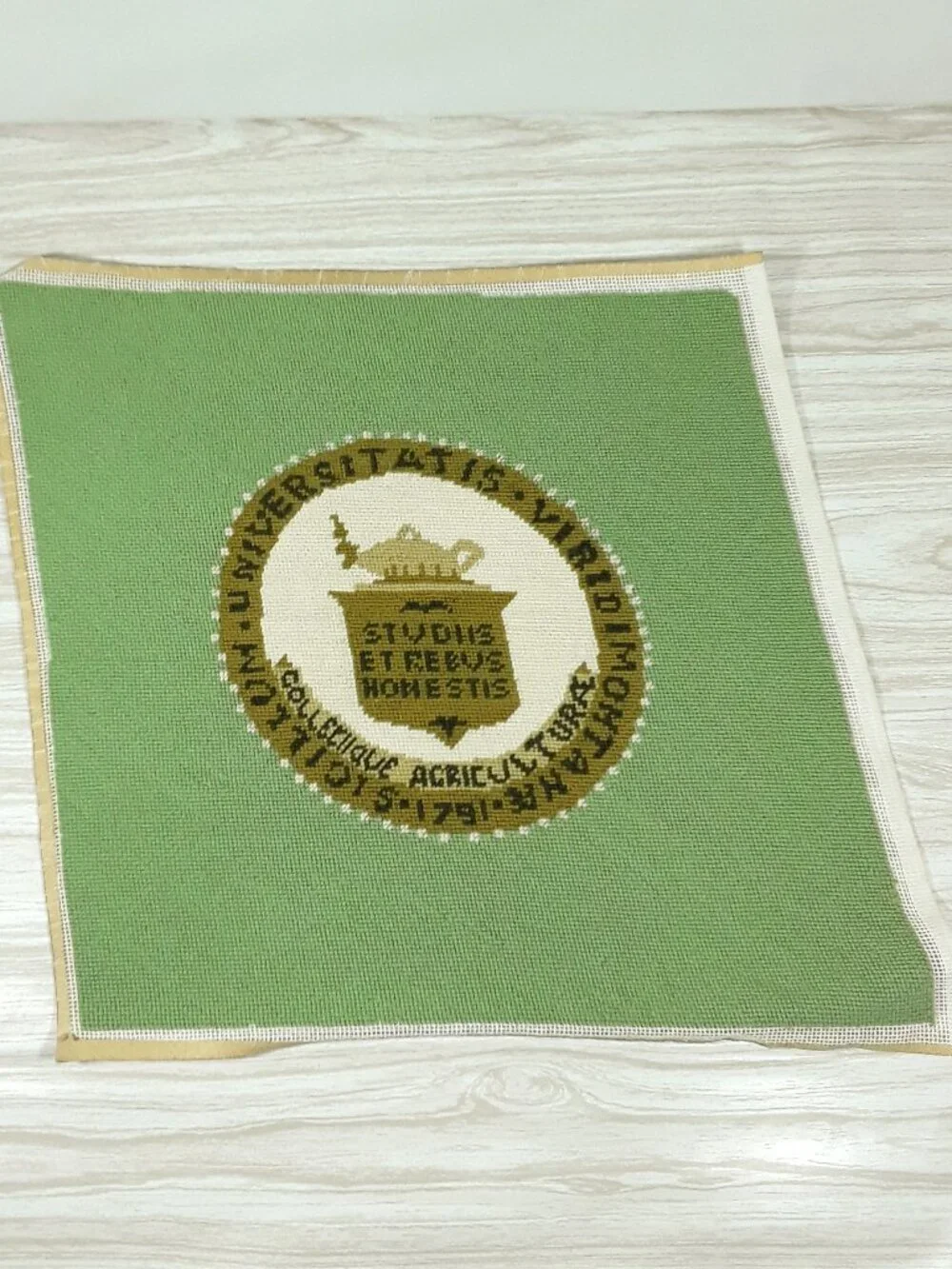 Vtg University of Vermont Rug 20
